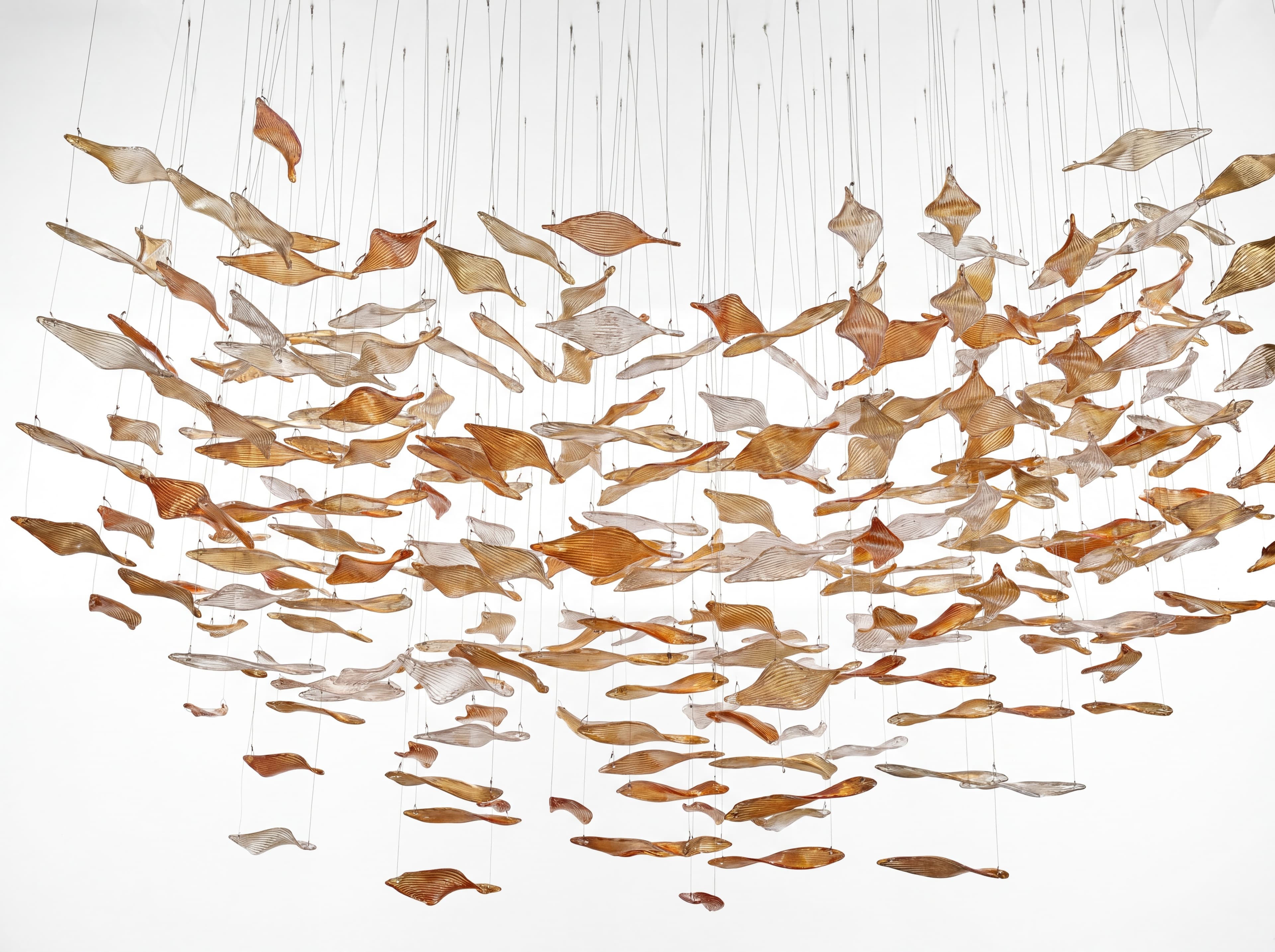 Suspended Foliage